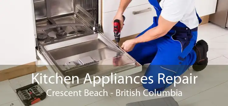 Kitchen Appliances Repair Crescent Beach - British Columbia