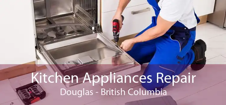 Kitchen Appliances Repair Douglas - British Columbia