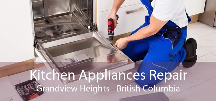 Kitchen Appliances Repair Grandview Heights - British Columbia