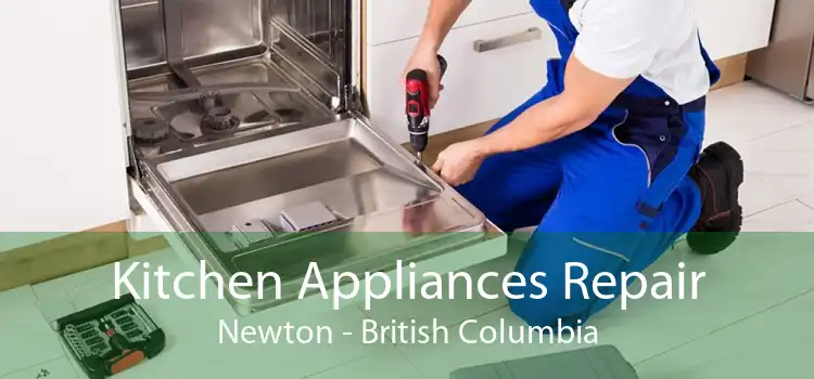 Kitchen Appliances Repair Newton - British Columbia