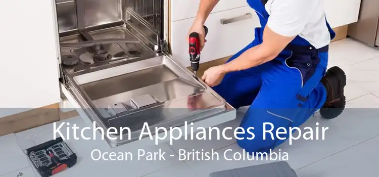 Kitchen Appliances Repair Ocean Park - British Columbia