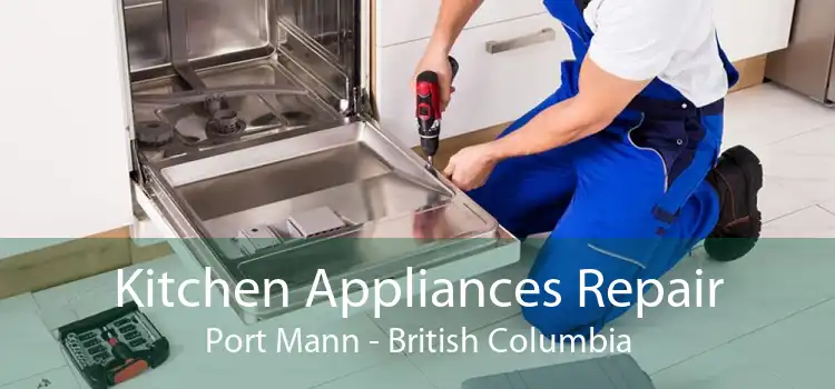 Kitchen Appliances Repair Port Mann - British Columbia
