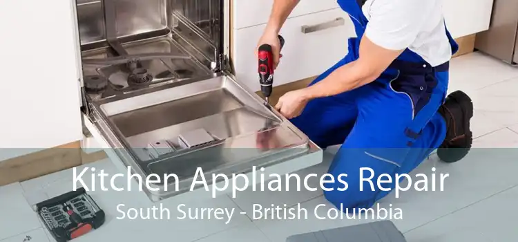 Kitchen Appliances Repair South Surrey - British Columbia