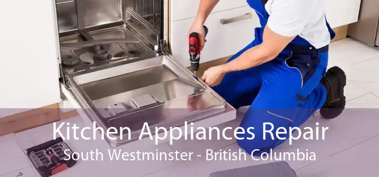 Kitchen Appliances Repair South Westminster - British Columbia