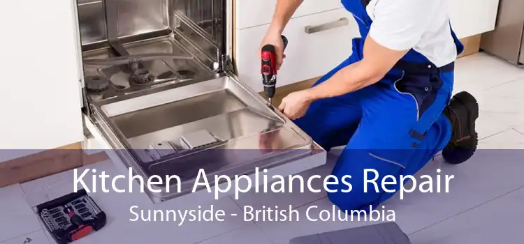 Kitchen Appliances Repair Sunnyside - British Columbia