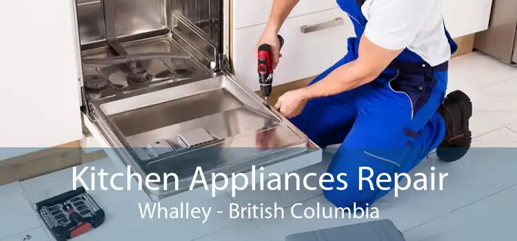 Kitchen Appliances Repair Whalley - British Columbia