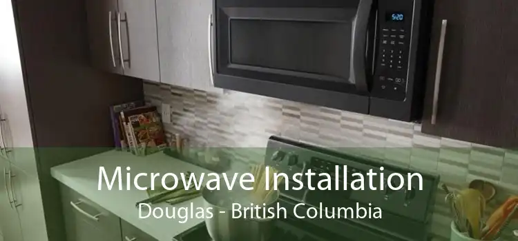 Microwave Installation Douglas - British Columbia