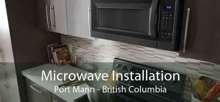 Microwave Installation Port Mann - British Columbia