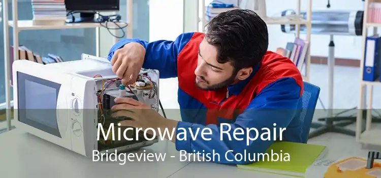 Microwave Repair Bridgeview - British Columbia