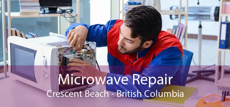 Microwave Repair Crescent Beach - British Columbia