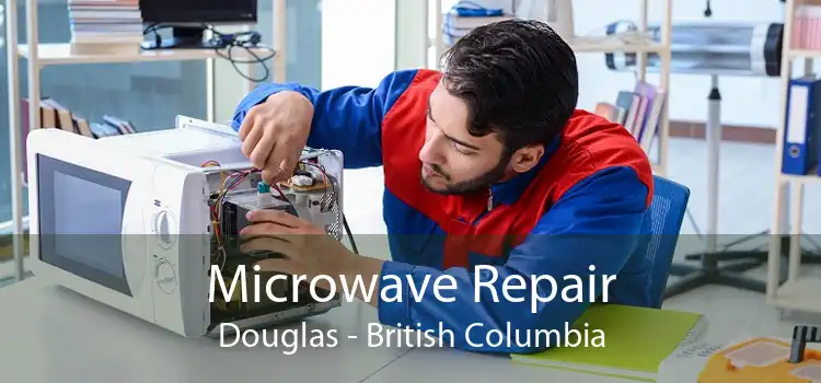 Microwave Repair Douglas - British Columbia