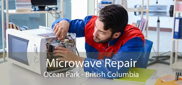Microwave Repair Ocean Park - British Columbia