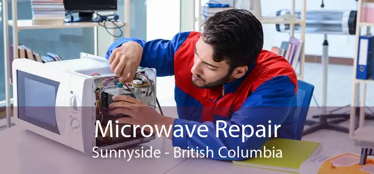 Microwave Repair Sunnyside - British Columbia