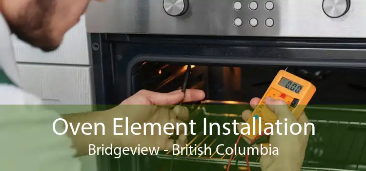 Oven Element Installation Bridgeview - British Columbia
