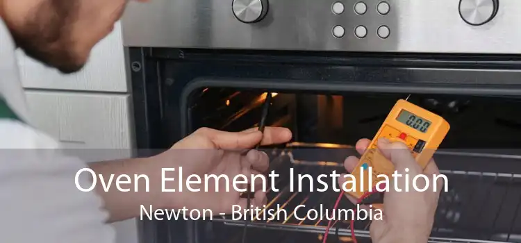 Oven Element Installation Newton - British Columbia