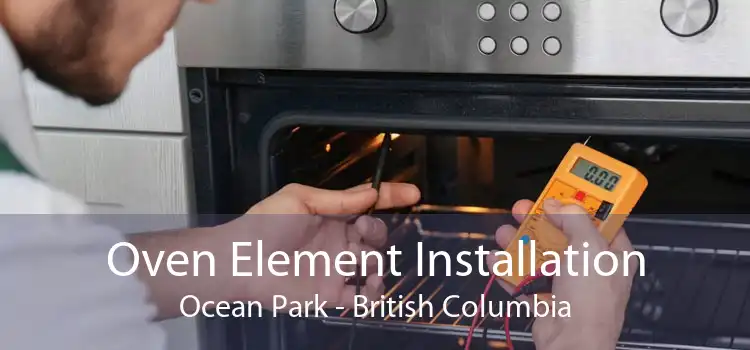Oven Element Installation Ocean Park - British Columbia