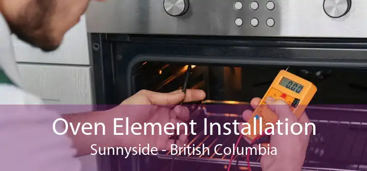 Oven Element Installation Sunnyside - British Columbia
