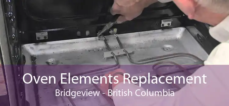 Oven Elements Replacement Bridgeview - British Columbia
