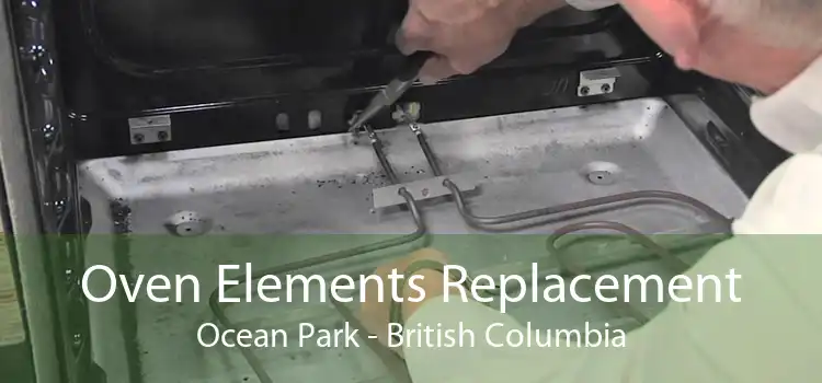 Oven Elements Replacement Ocean Park - British Columbia