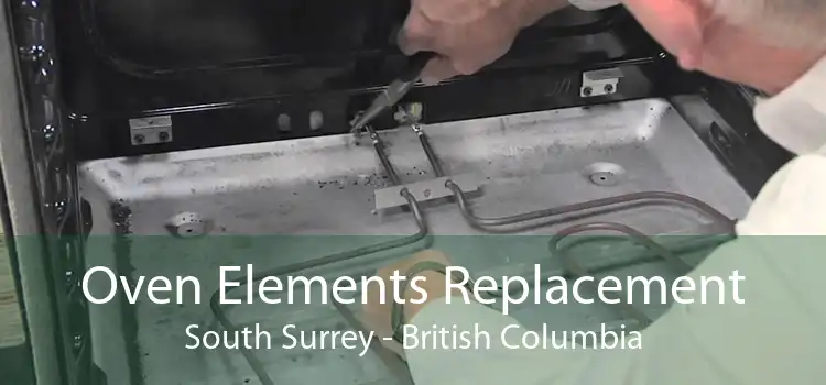 Oven Elements Replacement South Surrey - British Columbia