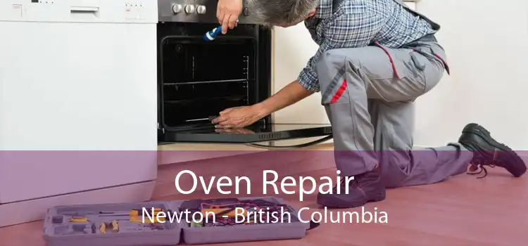 Oven Repair Newton - British Columbia