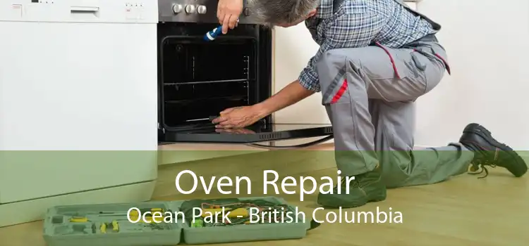 Oven Repair Ocean Park - British Columbia