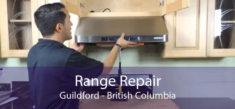 Range Repair Guildford - British Columbia