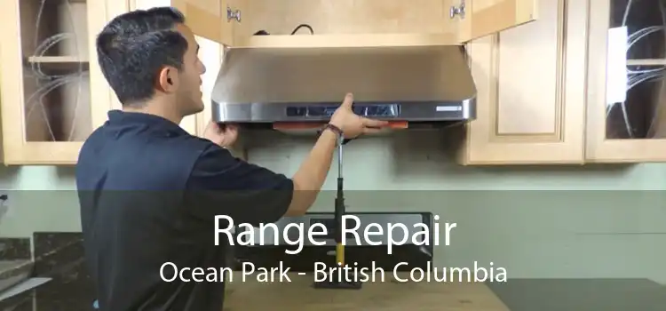 Range Repair Ocean Park - British Columbia