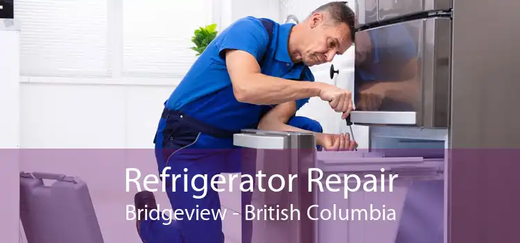 Refrigerator Repair Bridgeview - British Columbia
