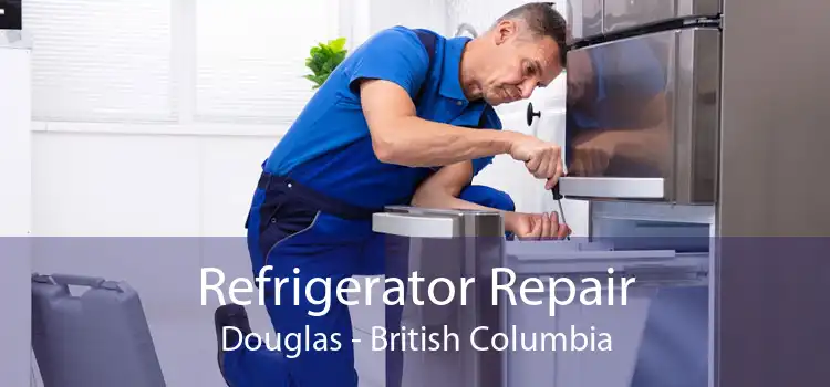 Refrigerator Repair Douglas - British Columbia