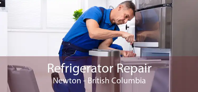 Refrigerator Repair Newton - British Columbia