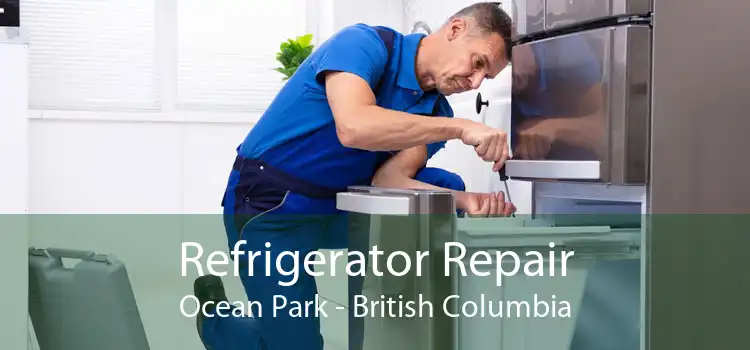 Refrigerator Repair Ocean Park - British Columbia