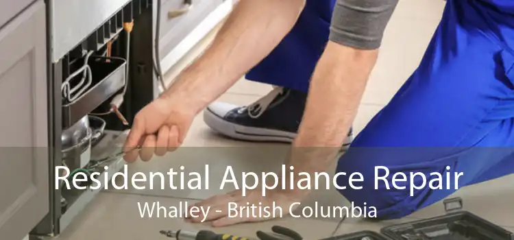 Residential Appliance Repair Whalley - British Columbia