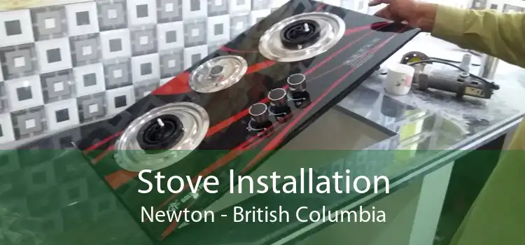 Stove Installation Newton - British Columbia