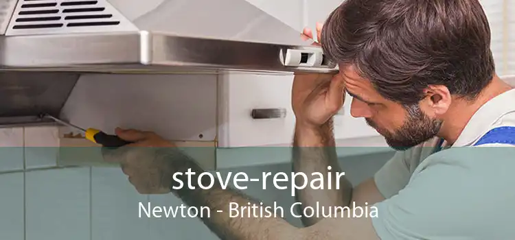 stove-repair Newton - British Columbia