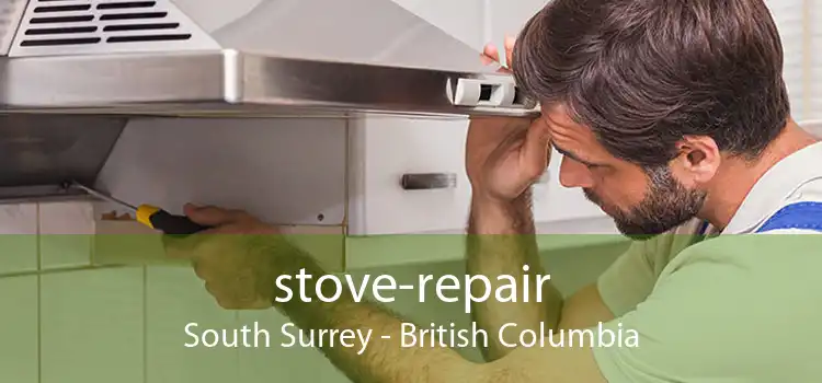 stove-repair South Surrey - British Columbia