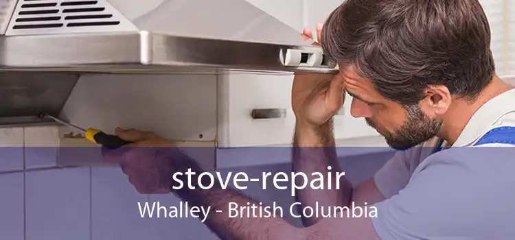 stove-repair Whalley - British Columbia