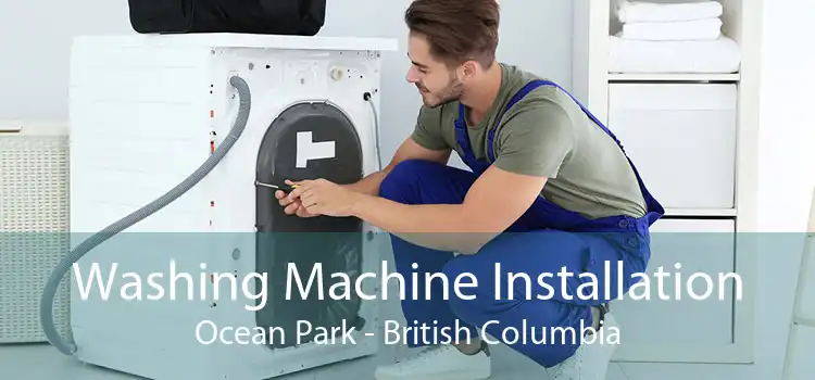 Washing Machine Installation Ocean Park - British Columbia