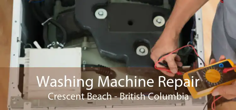 Washing Machine Repair Crescent Beach - British Columbia