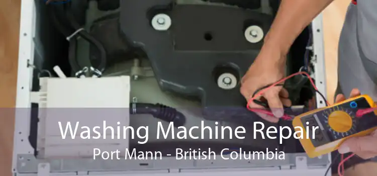 Washing Machine Repair Port Mann - British Columbia