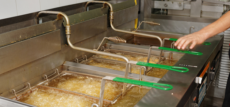 Ikea Commercial Fryer Repair in Surrey